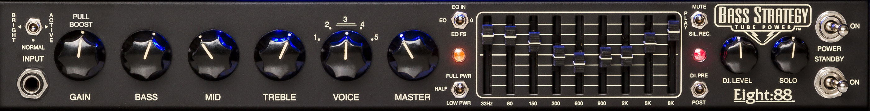 Bass Strategy Front Panel Detail